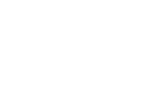 Flyfishingnordic.org Logo Design White